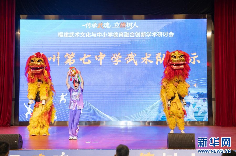 福建武术文化与中小学德育融合创新学术
